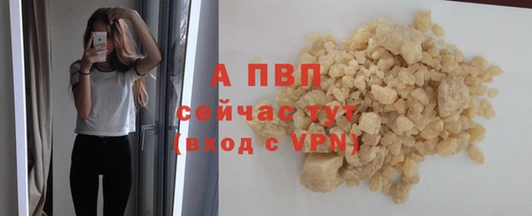 apvp Верея